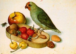 Georg_Flegel_still life with Pygmy Parrot.jpeg