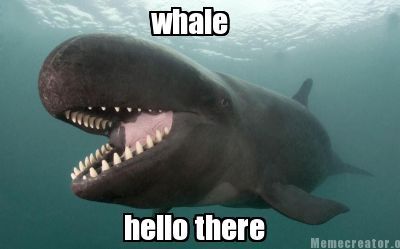whale hello there!.jpg